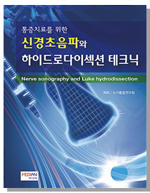 통증치료를 위한 근육 초음파와 주사 테크닉
