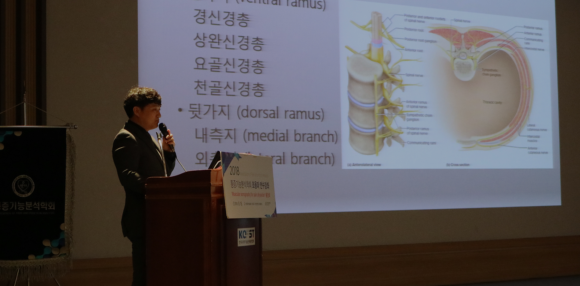 꾸준한 <strong>책출간</strong> 및 강의|세계 최초의 근육 초음파 통증치료 책<br>통증 치료를 위한 근육 초음파와 주사 테크닉